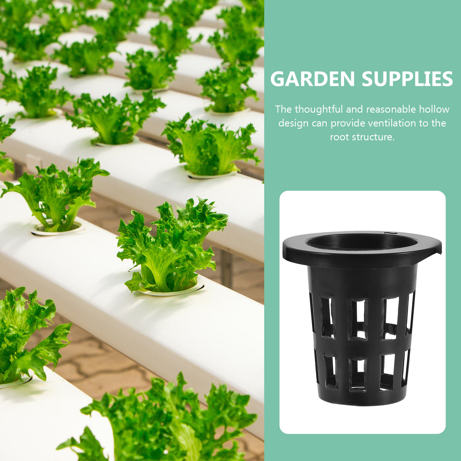 50 unidades de macetas de plás - Gardening Tools Vegetables reseña y precio