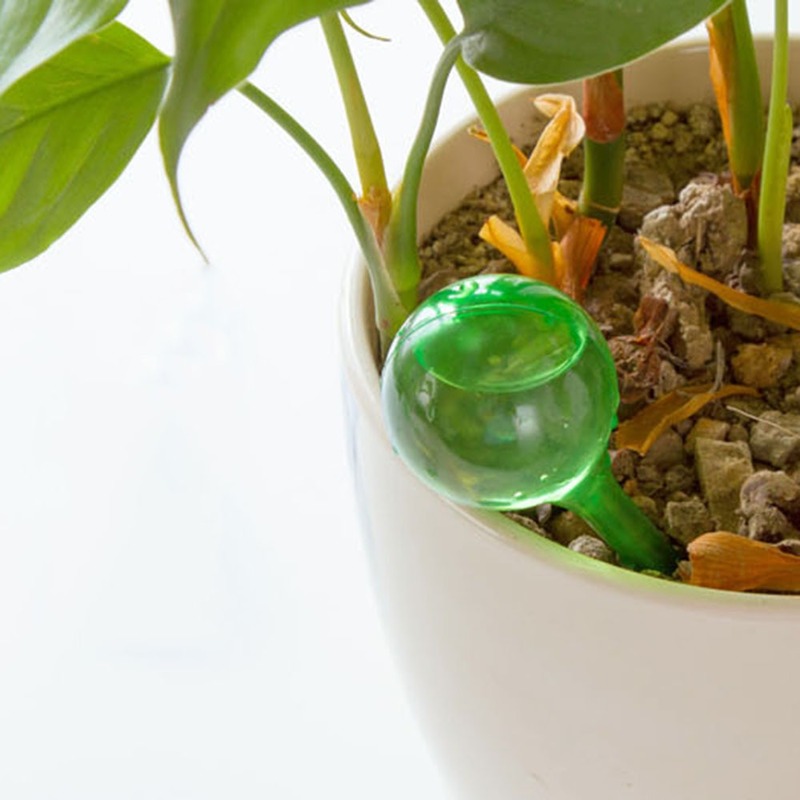 Alimentador automático de agua - Automatic Plant Waterer reseña y precio