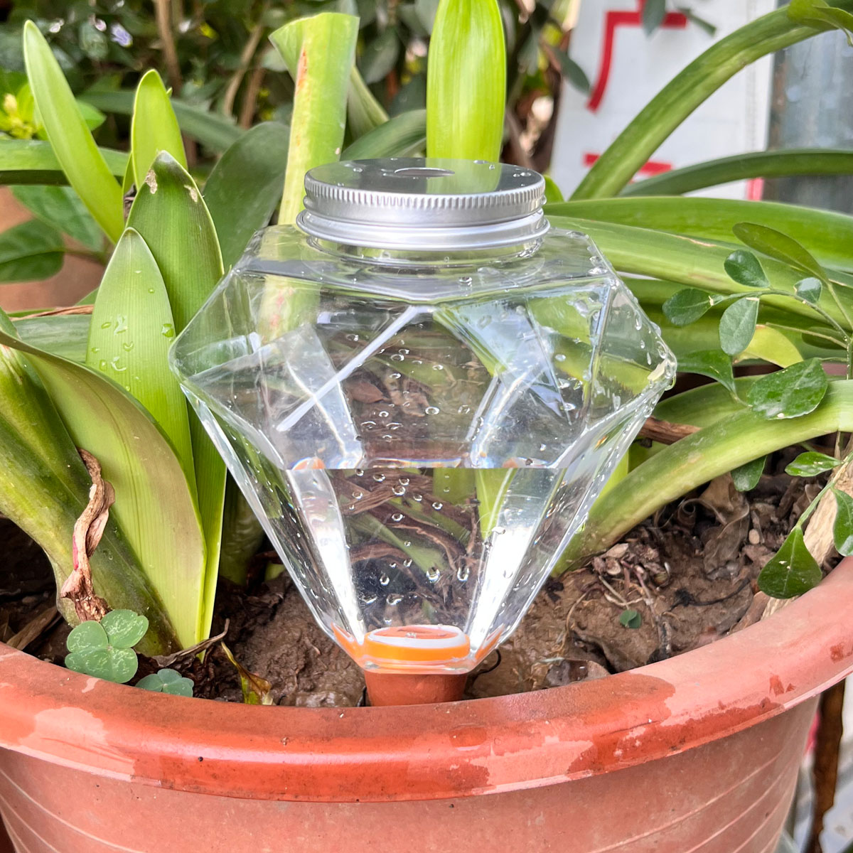 1 unidad de riego automático d - Automatic Plant Waterer reseña y precio